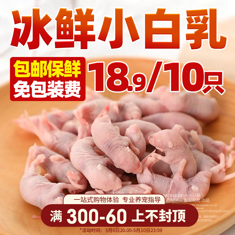 冰冻小白鼠红皮乳鼠爬宠饲料