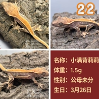 № 22 Xiaoman Back Lily 1,5 г