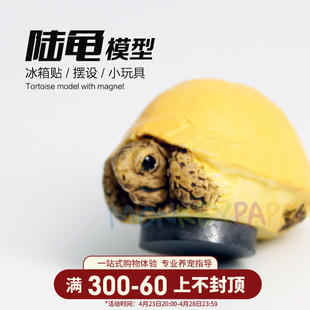 冰箱贴 陆龟水龟星龟海龟草龟袖 珍模型