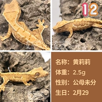 № 12 Huang Lili 2,5 г