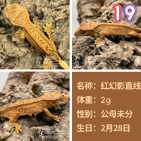 № 19 Красная фантомная прямая линия 2G