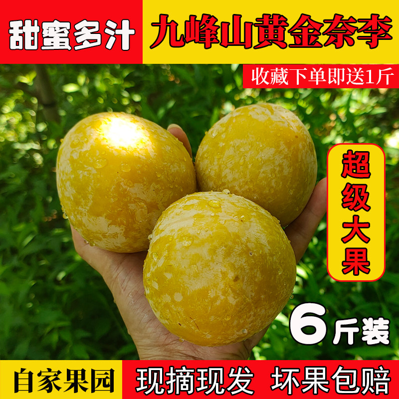 顺丰包邮特大果乐昌韶关九峰山黄金奈李子新鲜现摘冰糖蜂蜜脱骨李