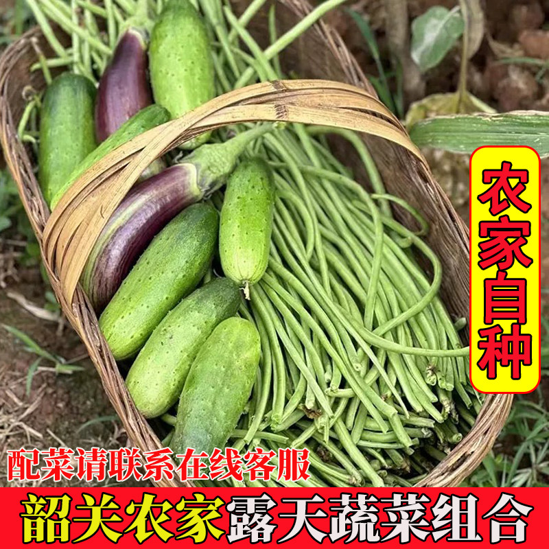顺丰农家自种新鲜时令蔬菜组合