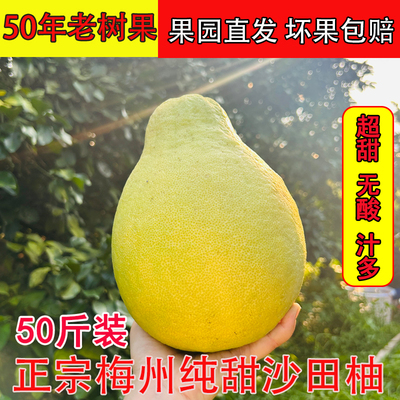 50斤正宗梅州沙田柚纯甜包邮