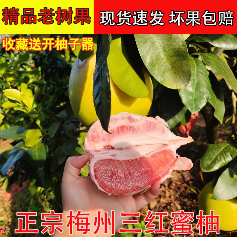 顺丰包邮正宗梅州三红蜜柚