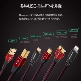 Audioquest线圣肉桂Cinnamon AQ A-B/Type-C/OTG解码USB数据线