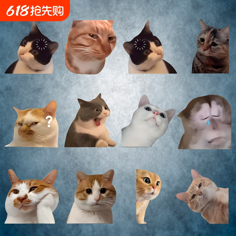 可爱搞笑迷因MEME猫猫咪惊讶表情个性创意车贴笔记本行李箱贴纸