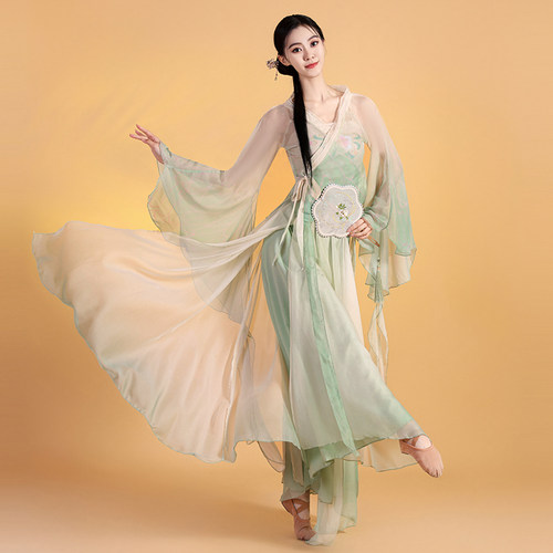 古典舞服装蝴蝶渐变飘逸仙气新款绝美纱衣女裙裤中国舞练功演出服