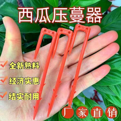 西瓜秧固定器压曼器塑料叉子西瓜藤卡子秧苗夹子固定夹紧定蔓草莓