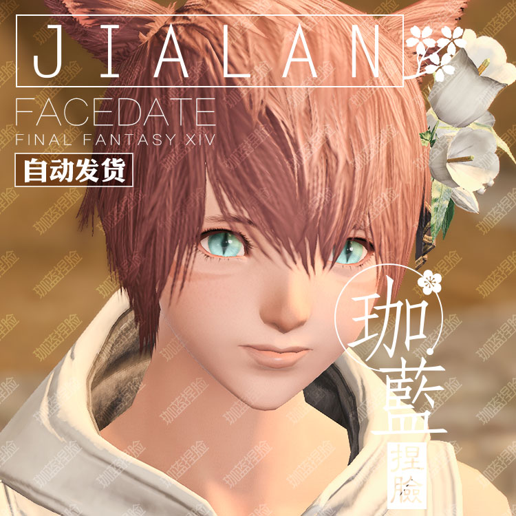 【珈蓝】最终幻想14 ff14捏脸数据脸型 猫魅族猫女猫娘 逐日 丽娜