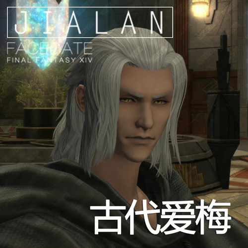 【珈蓝】最终幻想14 ff14捏脸数据 人族NPC古代爱梅 近似脸型仿捏