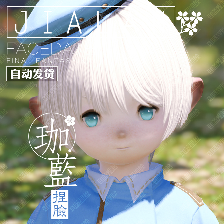【珈蓝】最终幻想14 ff14捏脸数据脸型 拉拉菲尔族男 公肥 岁岁