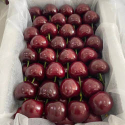 王中王精品果现摘美早国产大连大樱桃新鲜水果3非智力车厘子孕妇