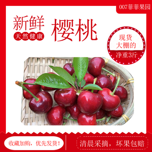 现货甜脆美早大果樱桃国产新鲜水果车厘子孕妇喜欢