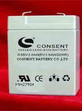 CONSENT蓄电池GS6V5.0AH/20Hr 电子称 仪器仪表电池