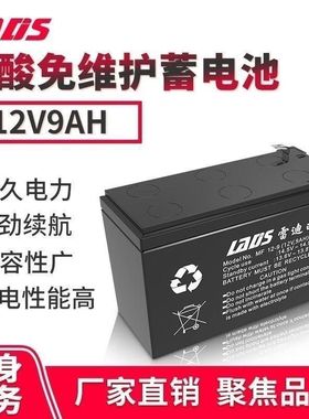 雷迪司UPS专用蓄电池12V9AH  用于更换内置UPS电池主机H1000M铅酸