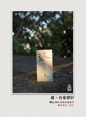 藏白毫银针 2022年磻溪湖林电焙炭焙日晒银针 福鼎白茶