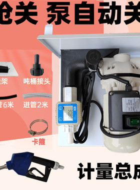 IBC吨桶加注机车用尿素加注设备尿素加注机220V尿素计量泵12V24v