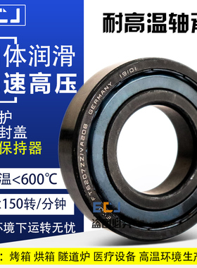 ECJ进口耐高温轴承600度FT6200 6201 6202 6203 6204 6205 6206ZZ