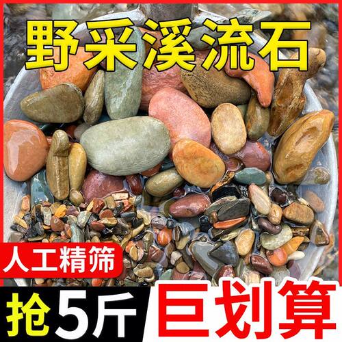 【热卖中】天然原生态溪流石鱼缸造景装饰底砂石头乌龟缸铺底沙子