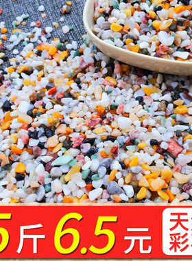 鹅卵石天然雨花石彩石白色石子多肉铺面鱼缸造景花盆园艺装饰石头