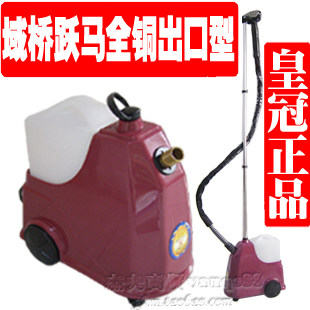 域桥全铜手持式出口蒸汽挂烫机图片