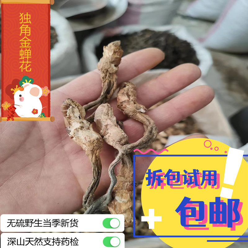 中药材天然无硫金蝉花深山独角蝉花虫知了虫男性泡酒新货