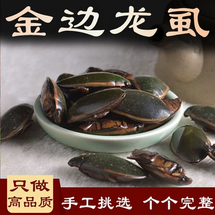 中药材金边龙虱水鳖虫 水虱虫龙虱射尿龟尿缸贼水龟子500克包邮