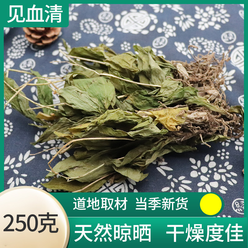 中药材无硫见血清250克包邮羊耳蒜水洗整棵见血青全株 立地好新货