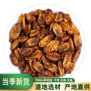 中药材无硫蚕蛹小蜂儿晚蚕砂蚕蜕虫蚕茧鸟食僵蛹粉500克包邮