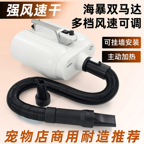 宠物店大型犬双马达速干吹水机