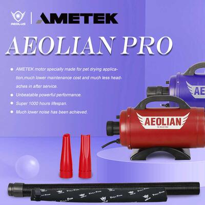 AEOLUS TD-901GT-Pro 宠物超强单马达吹水机阿美德格电机超长寿命