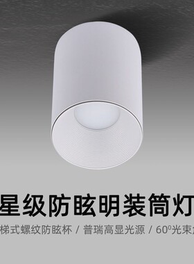 明装筒灯免开孔客厅无主灯照明7W12W深防眩小山丘卧室过道吸顶灯