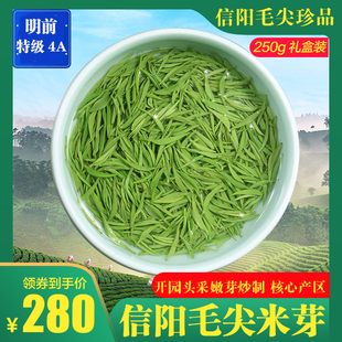 信阳毛尖2024新茶绿茶自产自销茶叶明前特级4A嫩芽大山茶罐装 250g