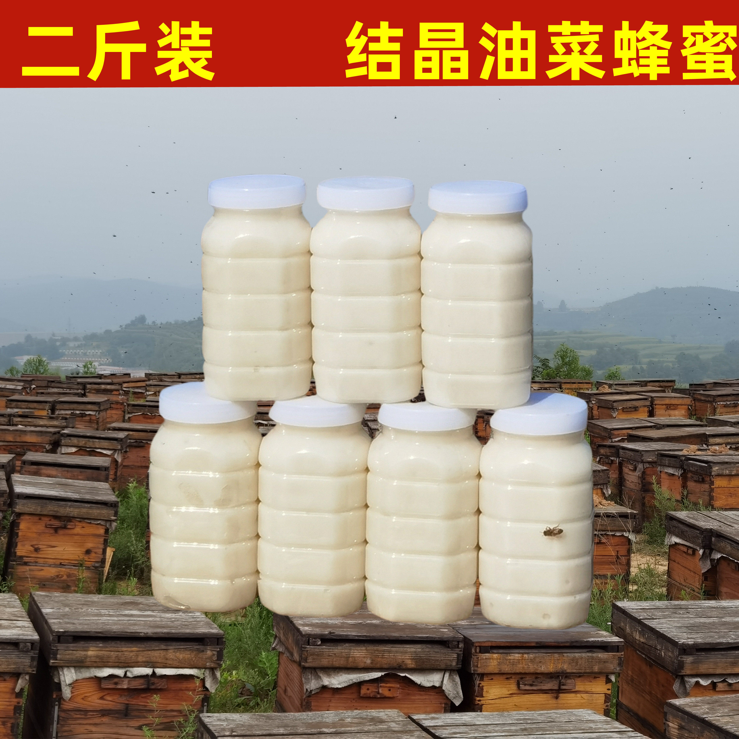 二斤装大瓶纯蜂蜜纯正天然农家自产油菜花蜂蜜 原蜜结晶蜜