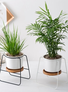 陶瓷铁艺多肉陶瓷花盆绿植家居