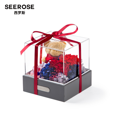 SEEROSE永生花康乃馨苔藓小熊