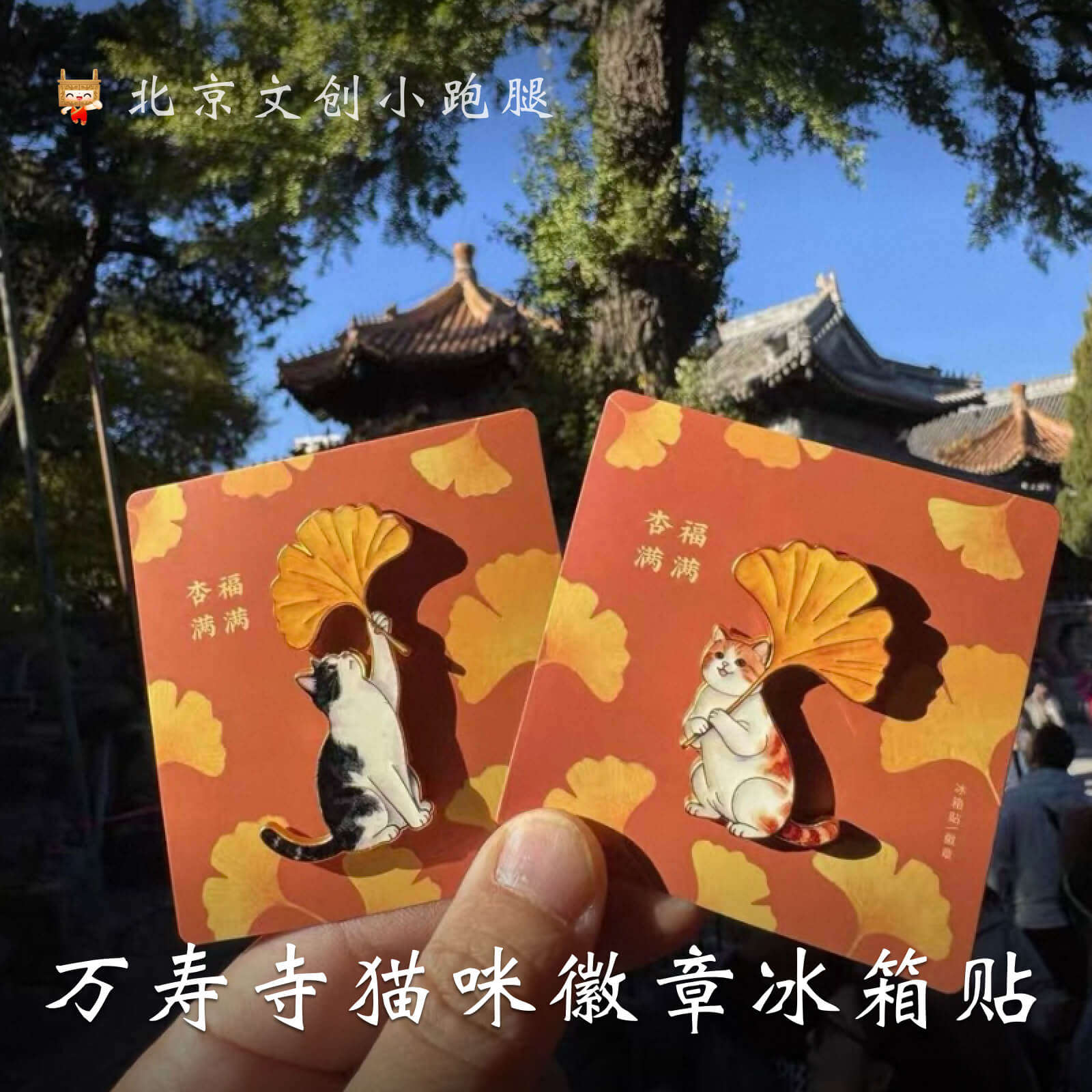 万寿寺小猫咪徽章冰箱贴两用银杏叶冰箱贴北京艺术博物馆文创礼物