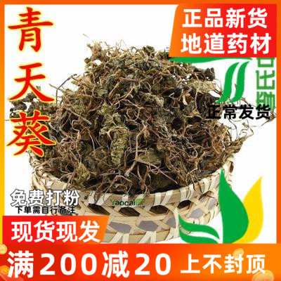 中药材青天葵天葵独脚天葵珍珠叶半边伞坠千