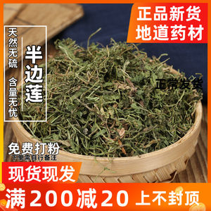 中药材野生半边莲中草药半边菊 500g金菊草吹风草实物拍照/