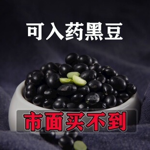 中药材 农家自产黑豆 绿芯黑豆 东北沂蒙山 非转基因 500克
