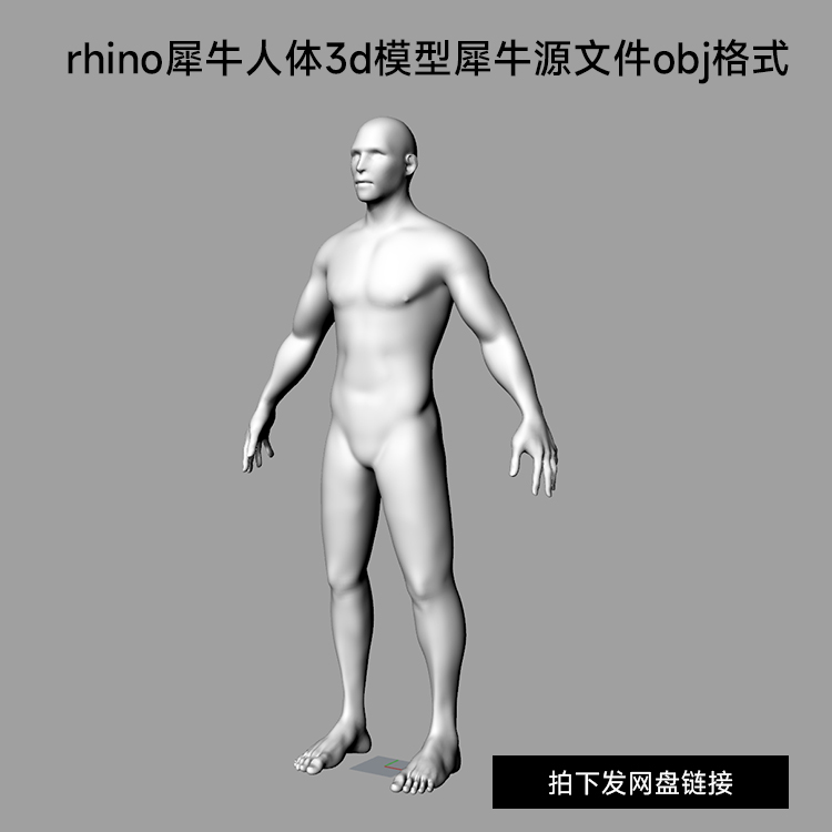 Rhino犀牛人体3d模型1米8人体三维模特模型建模犀牛源文件obj格式