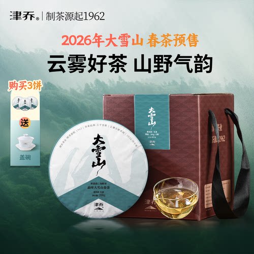 2026年大雪山古树春茶200g