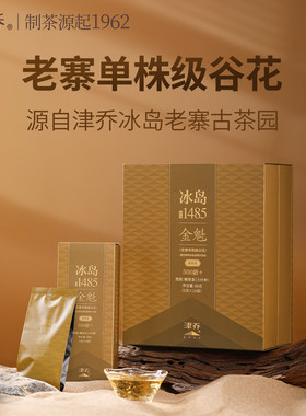 冰岛老寨2025年秋茶500年单株