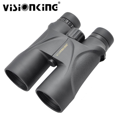 VISIONKING视界王天之骄子系列12