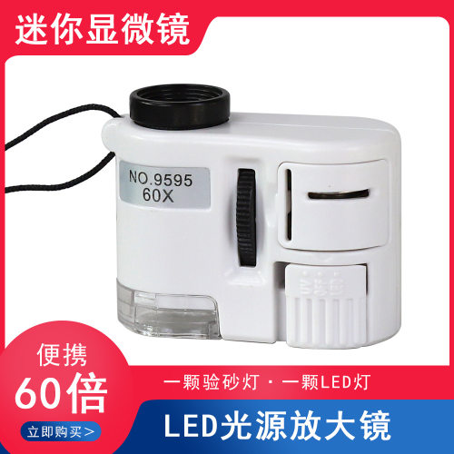 Datyson手持式显微镜60倍NO.9595