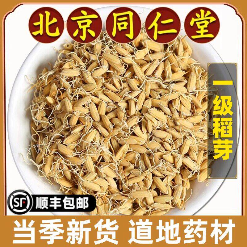 北京同仁堂正品稻芽中药材生稻芽炒稻芽生麦芽生谷芽泡水喝原材料