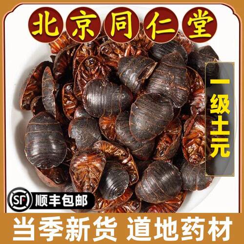 北京同仁堂正品土元中药材正宗无硫中华土鳖虫元虫干粉地鳖虫野生