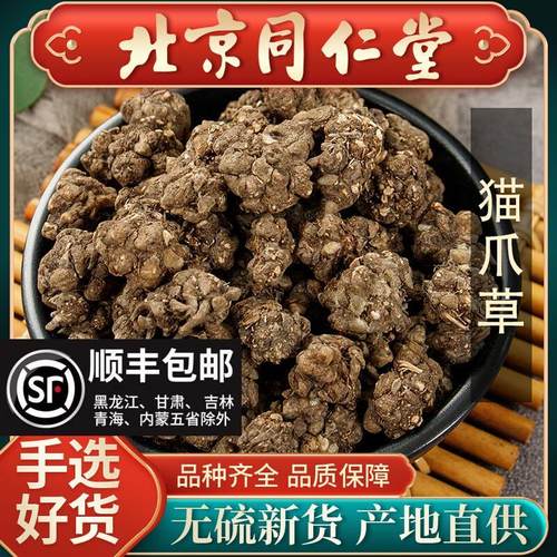 同仁堂野生猫爪草中药材500g正品猫瓜草泡茶可搭夏枯草泡水中草药