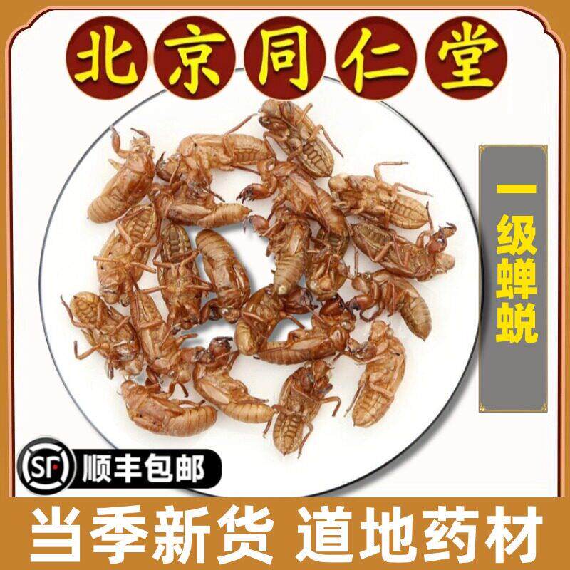 同仁堂正品蝉蜕中药材特级蝉衣干货金蝉衣蝉壳知了皮知了壳虫野生